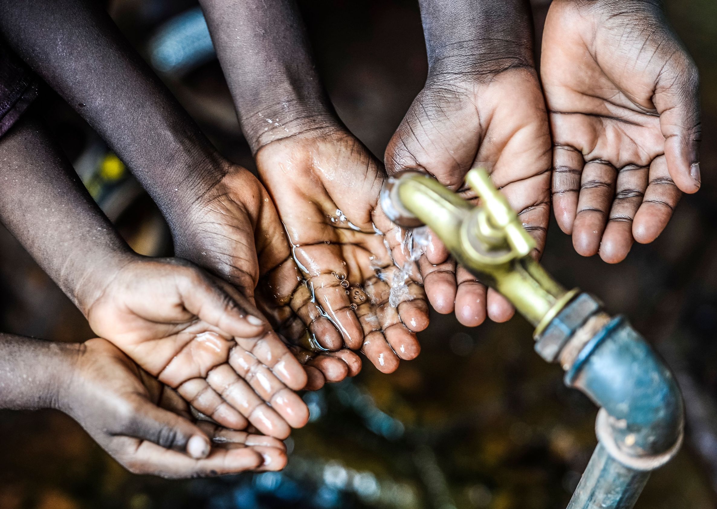 THE COMPLEXITIES OF CLIMATE RESPONSE